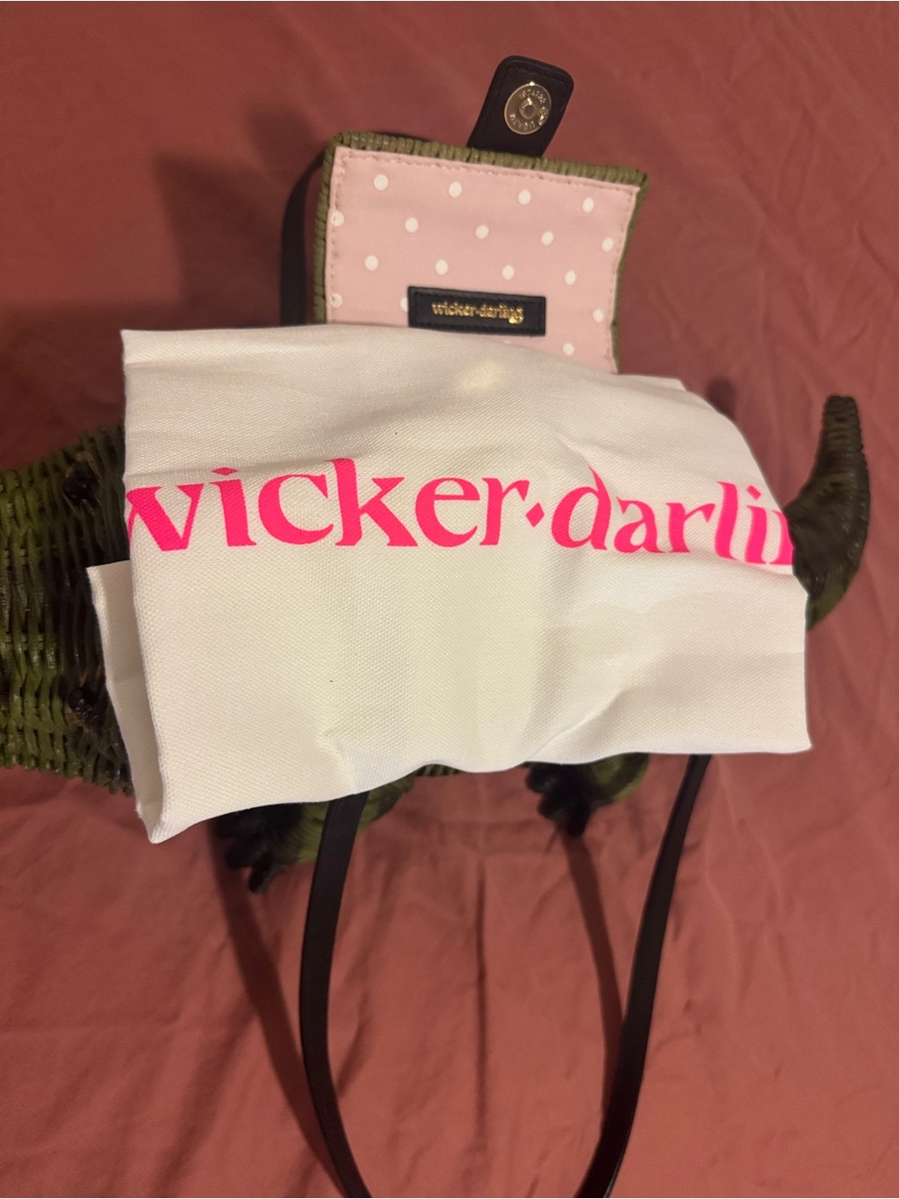 Wicker Darling Crocodile Bag Modisa Special Release - Picture 4 of 4